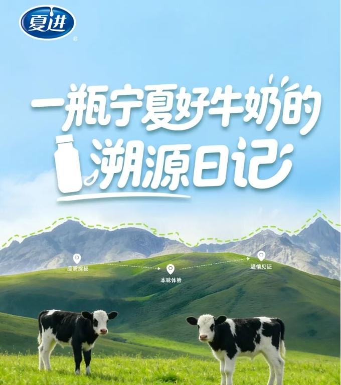 市场活动